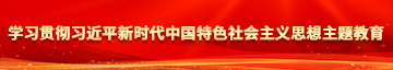 艹逼无码视频学习贯彻习近平新时代中国特色社会主义思想主题教育